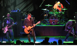 Toadies